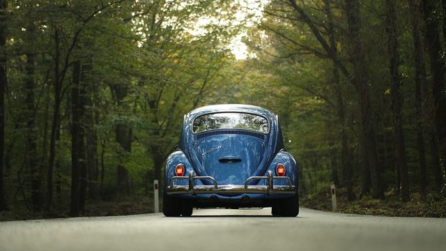 Auto auf einer Waldstraße