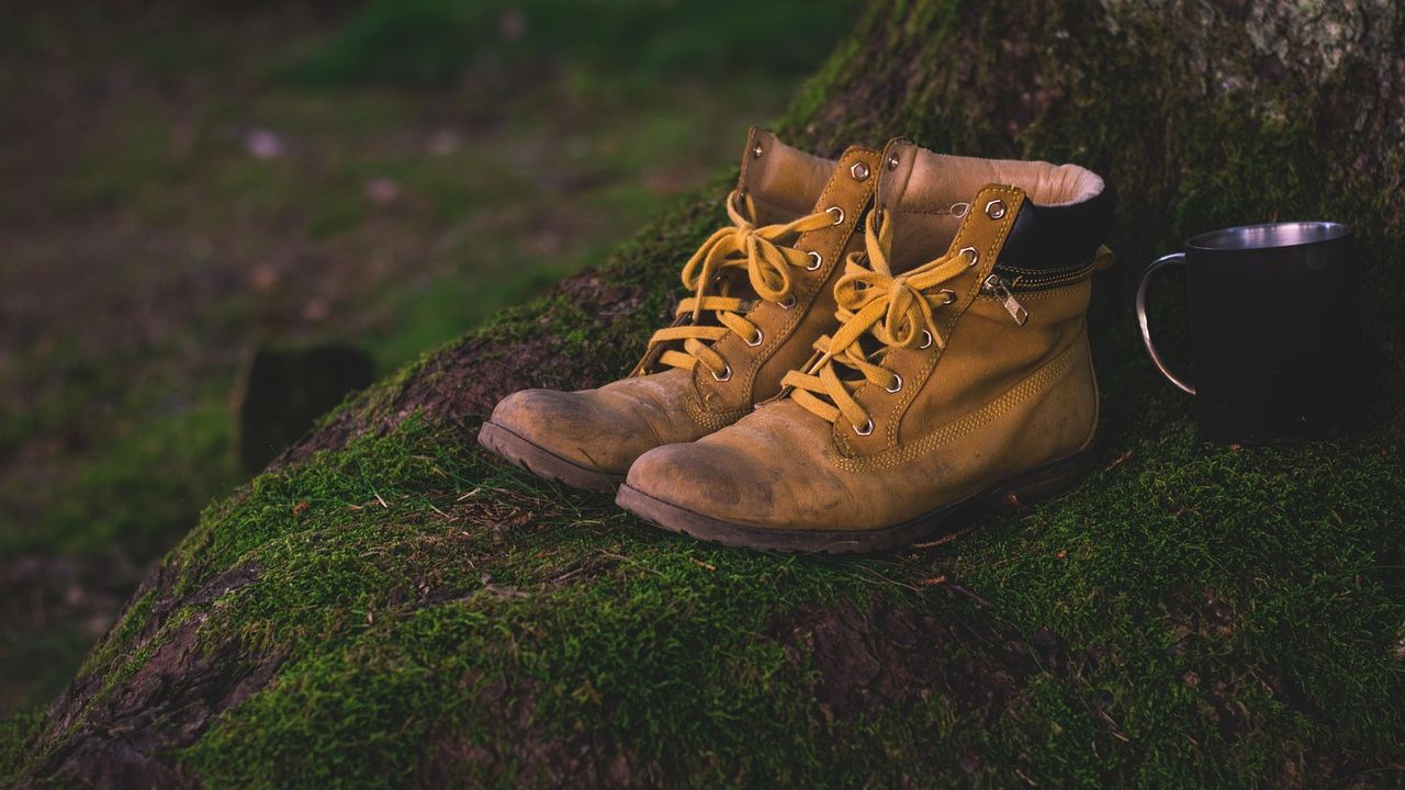 Lederschuhe im Gras